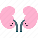 internal, organ, organs, kidney, kidneys, cute, cartoon
