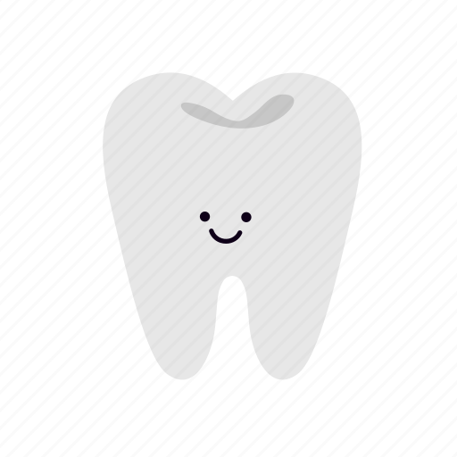 Internal, organ, human, anatomy, tooth, medical, dental icon - Download on Iconfinder