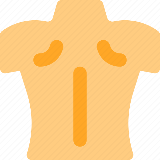 Human, back, body icon - Download on Iconfinder