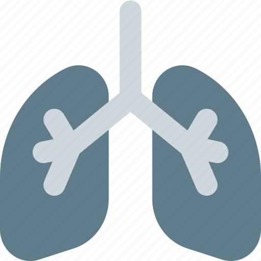 Lungs, human, organ icon - Download on Iconfinder