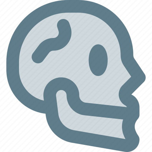 Skull, head, bone icon - Download on Iconfinder