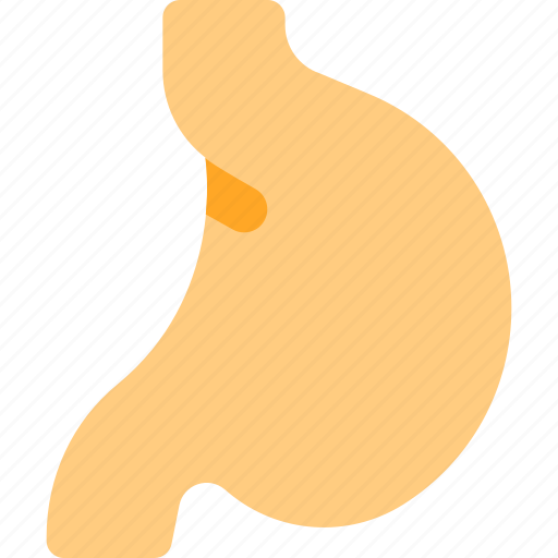 Stomach, body, organ icon - Download on Iconfinder