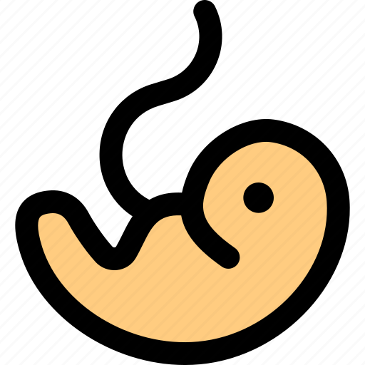 Fetus, human, organ icon - Download on Iconfinder
