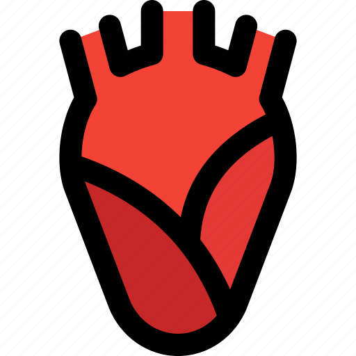 Heart, beat, organ icon - Download on Iconfinder