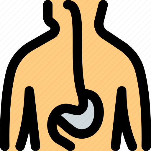Human, organ, stomach icon - Download on Iconfinder