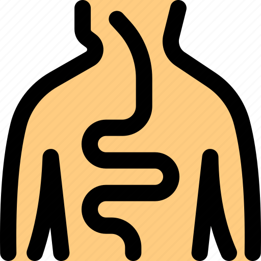 Human, organ, foodpipe icon - Download on Iconfinder