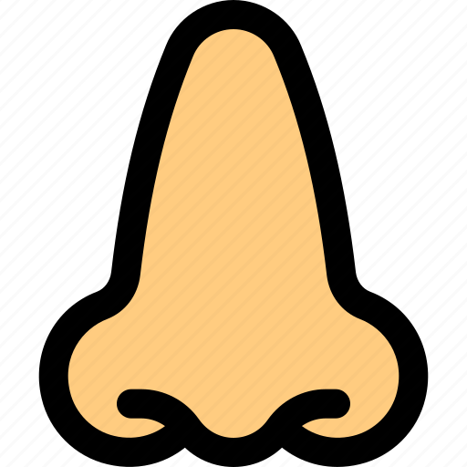 Nose, human, organ icon - Download on Iconfinder