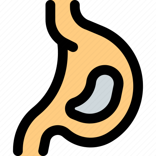 Stomach, human, organ icon - Download on Iconfinder