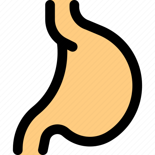 Stomach, human, organ icon - Download on Iconfinder