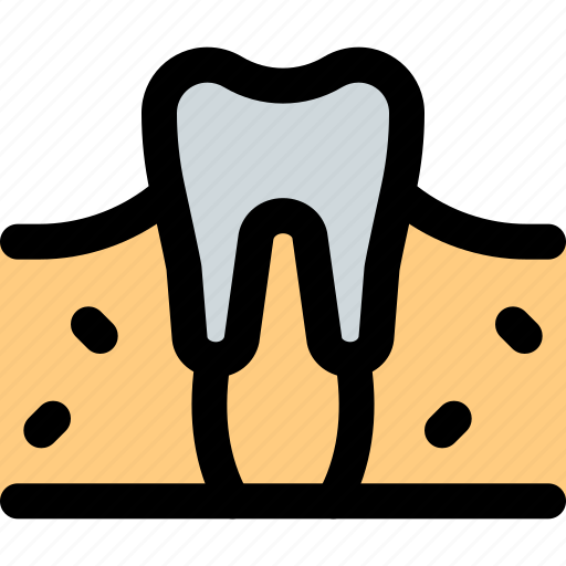 Tooth, dental, organ icon - Download on Iconfinder