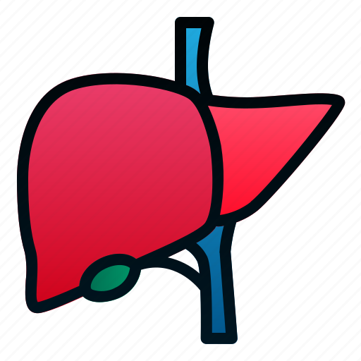 Biologyhealth, human, liver, organ icon - Download on Iconfinder
