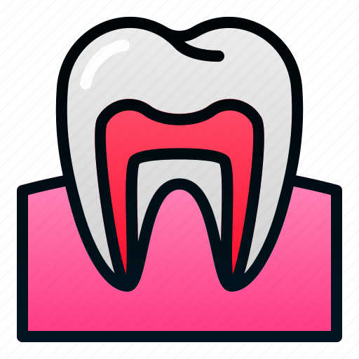 Biologyhealth, human, organ, tooth icon - Download on Iconfinder