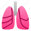 biology, human, lungs, organ 