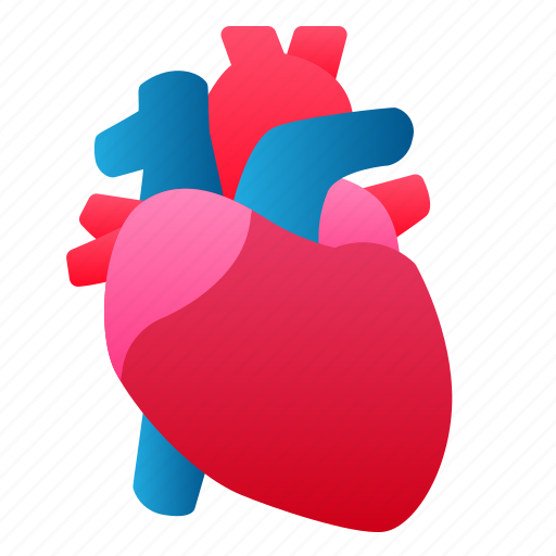 Biology, heart, human, organ icon - Download on Iconfinder