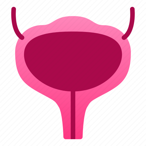 Biologyhealth, bladder, human, organ icon - Download on Iconfinder