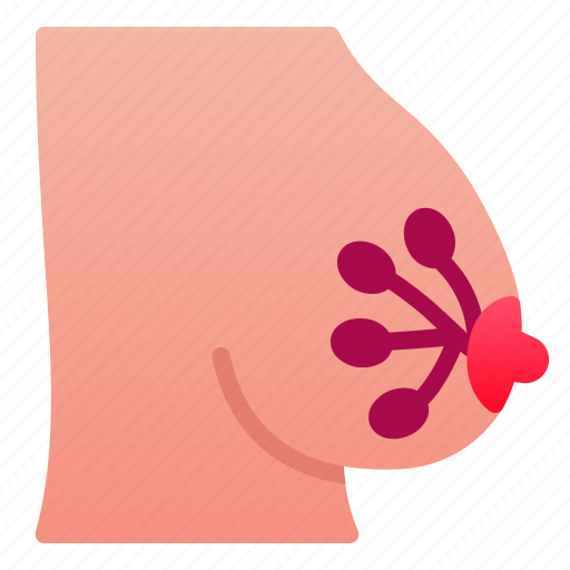 Biologyhealth, breast, human, organ icon - Download on Iconfinder