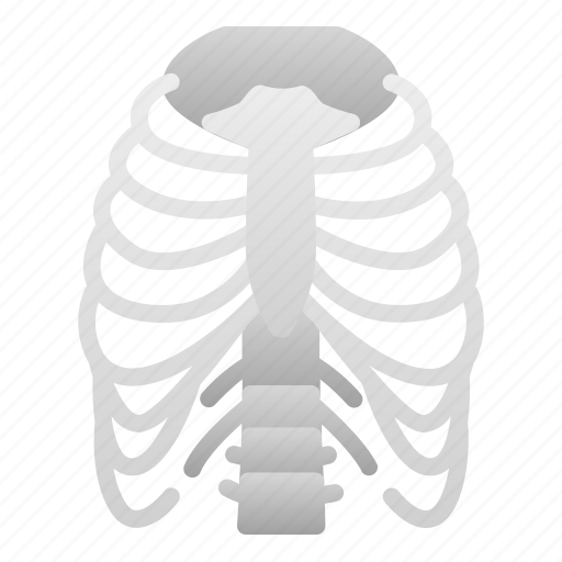 Biologyhealth, human, organ, ribs icon - Download on Iconfinder