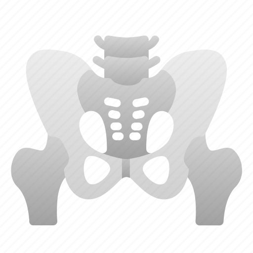 Biologyhealth, human, organ, pelvis icon - Download on Iconfinder