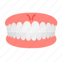 dental, dentist, dentistry, denture, gums, tooth, teeth