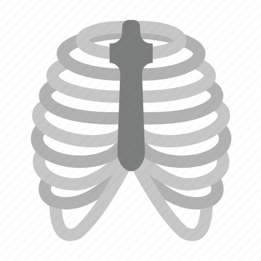 Bones, cage, human, rib, rib cage, skeleton, thorax icon - Download on Iconfinder