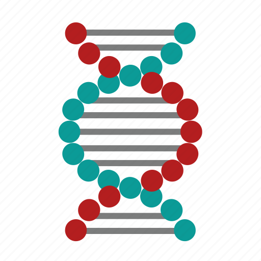 Anatomy, dna, genetic, science, generation, generics, genome icon - Download on Iconfinder