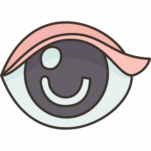 Eye, pupil, lens, optic, organ icon - Download on Iconfinder