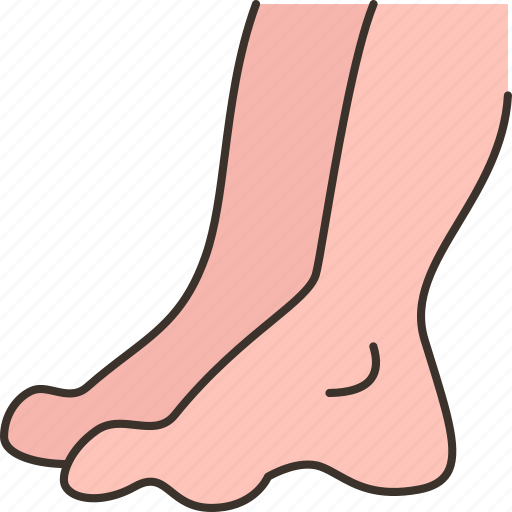 Foot, heel, ankle, anatomy, walk icon - Download on Iconfinder