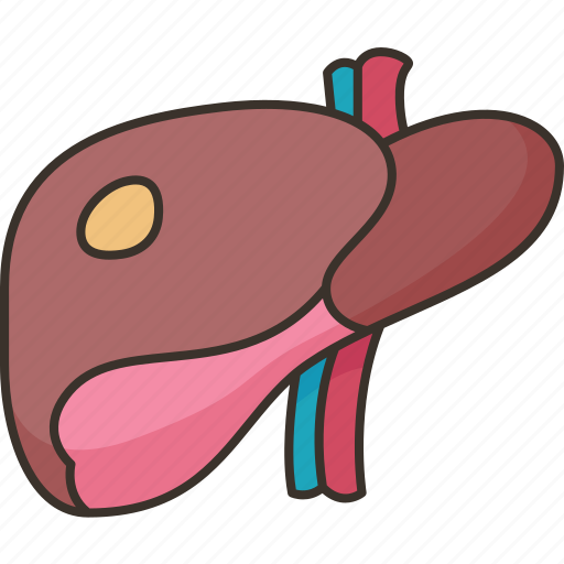 Liver, hepatic, organ, anatomy, abdominal icon - Download on Iconfinder