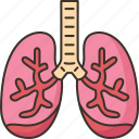 lungs, bronchitis, respiratory, chest, health