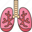 lungs, bronchitis, respiratory, chest, health 