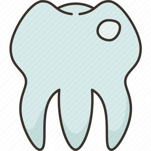 Tooth, enamel, dentistry, oral, anatomy icon - Download on Iconfinder