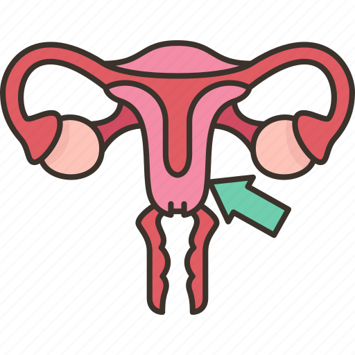 Uterus, ovary, female, reproductive, gynecology icon - Download on Iconfinder