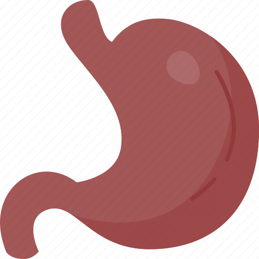 Stomach, digestion, gastric, abdominal, body icon - Download on Iconfinder