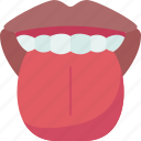 tongue, papilla, sensory, taste, mouth