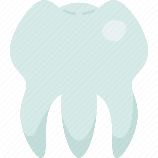 Tooth, enamel, dentistry, oral, anatomy icon - Download on Iconfinder