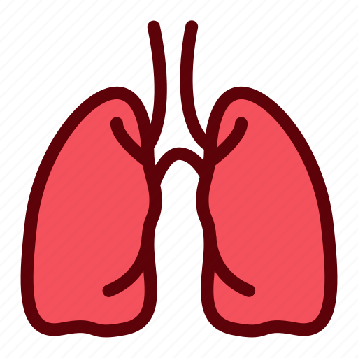 Breath, human, lungs, organ, oxygen icon - Download on Iconfinder