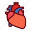 heart, human, life, organ 