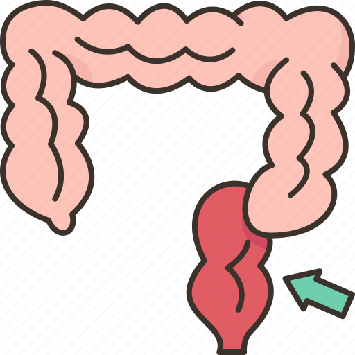 Anal, canal, rectum, colon, gastrointestinal icon - Download on Iconfinder