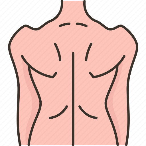 Back, body, muscular, human, physical icon - Download on Iconfinder