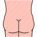 bottom, buttocks, butt, body, shape