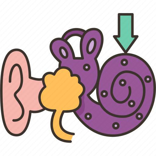 Cochlea, ear, hearing, auditory, anatomy icon - Download on Iconfinder