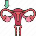 fallopian, tubes, oviduct, female, reproductive