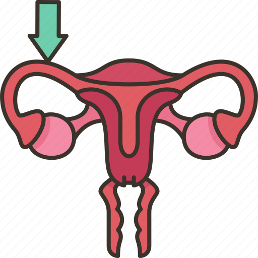 Fallopian, tubes, oviduct, female, reproductive icon - Download on Iconfinder