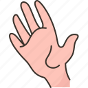 hand, wrist, palm, fingers, organ