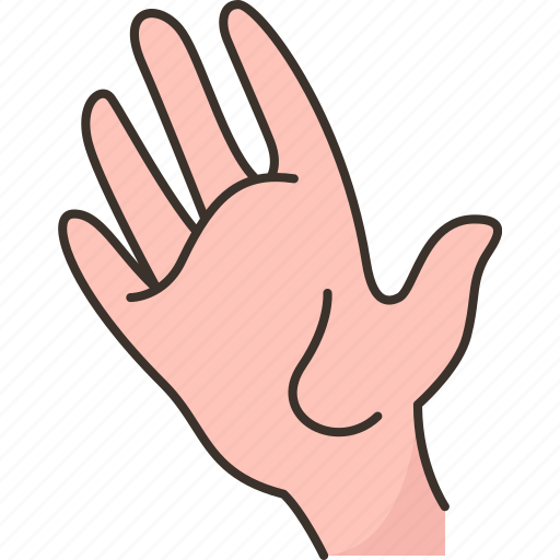 Hand, wrist, palm, fingers, organ icon - Download on Iconfinder