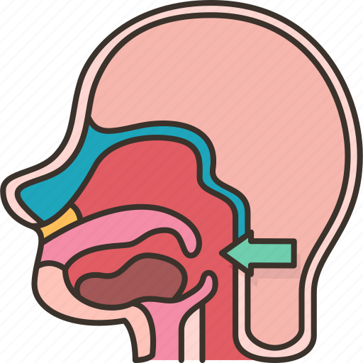 Pharynx, tube, throat, nasal, anatomy icon - Download on Iconfinder
