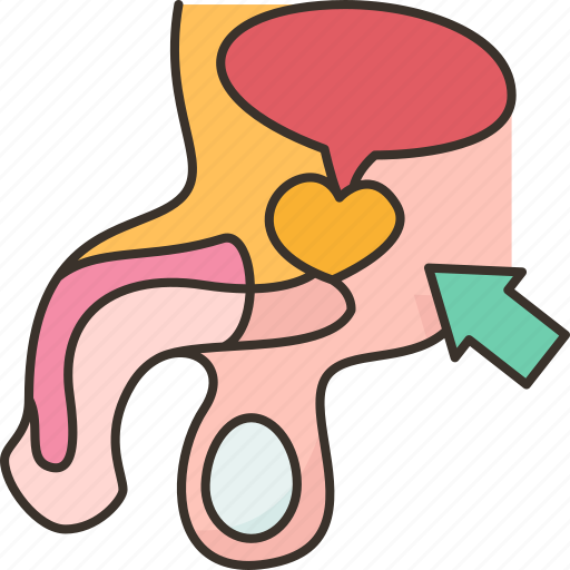 Prostate, gland, reproductive, male, anatomy icon - Download on Iconfinder