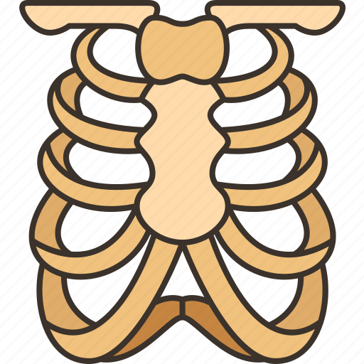 Ribs, chest, skeleton, bone, human icon - Download on Iconfinder
