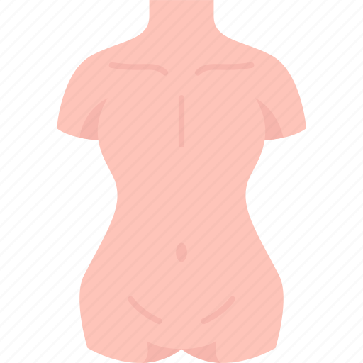 Body, human, anatomy, health, biology icon - Download on Iconfinder