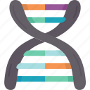 dna, genetic, chromosome, human, biology